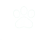 Mascotas y Animales