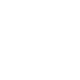 Vendo Automotor