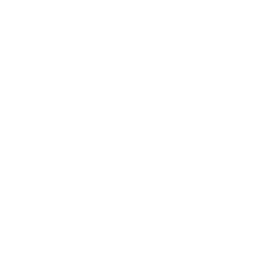 Combustible