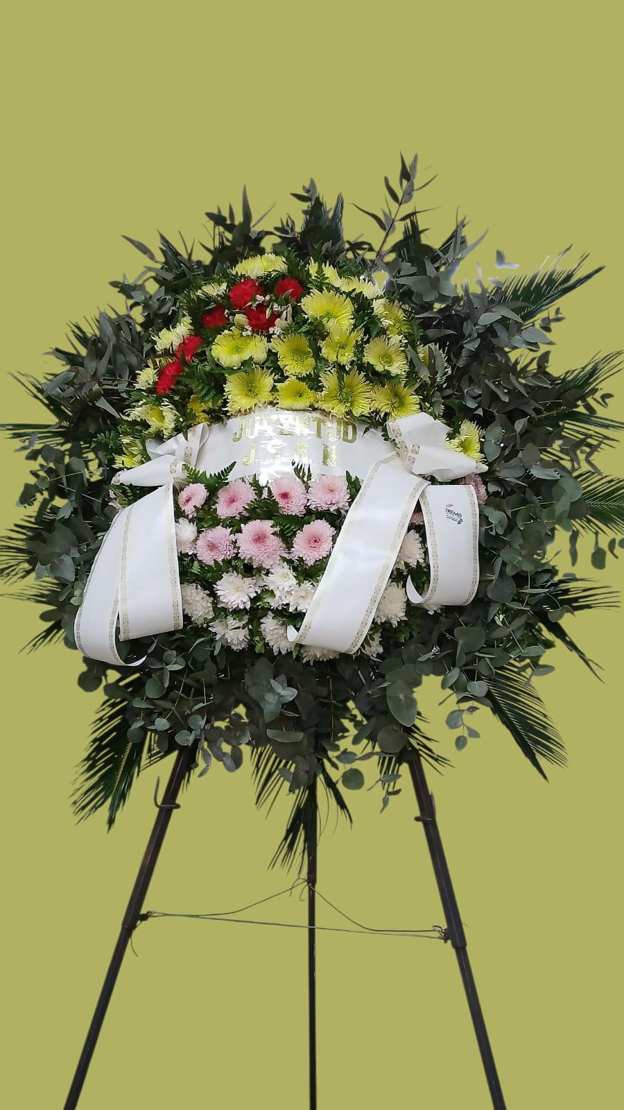Imagen 5